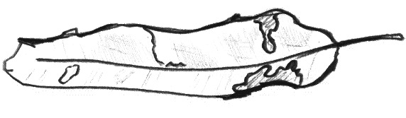 leaf16.gif