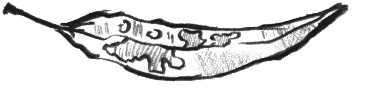 leaf19.gif
