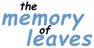 enter the memory of leaves
